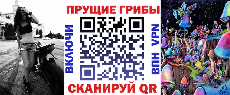 Псилоцибиновые грибы Psilocybe Яблоновский
