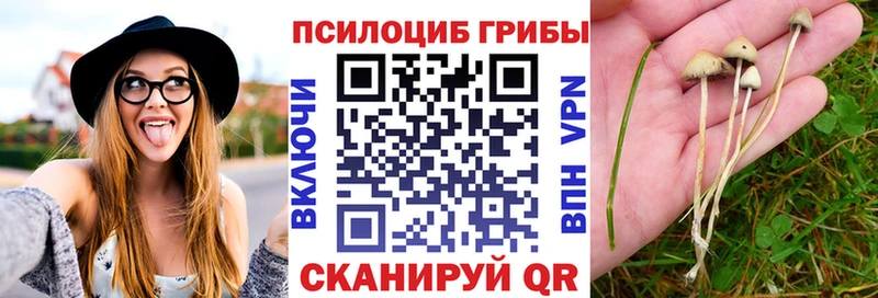 цены наркотик  Яблоновский  Псилоцибиновые грибы Psilocybe 